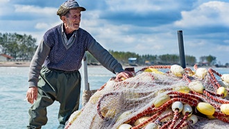 Математическая модель объясняет, как возникают самоорганизующиеся институты для управления ресурсами