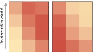 Учёные нашли ключевой фактор для эффективного производства аммиака с помощью электричества