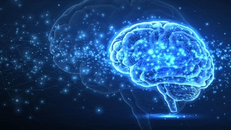 Белок мидкинин разрушает токсичные скопления при болезни Альцгеймера