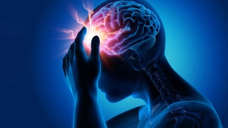 Избыток соли вызывает воспаление мозга и повышает давление