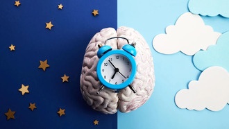 Мозг ночью активно сжигает жир для поддержания уровня сахара в крови