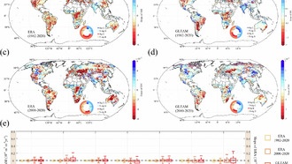 Глобальное озеленение вызывает значительную потерю влаги в почве