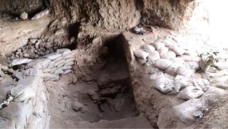 Находка в Узбекистане переворачивает представления о зарождении земледелия