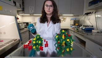 Ученые создали самоорганизующиеся пористые кристаллы для эффективного разделения газов