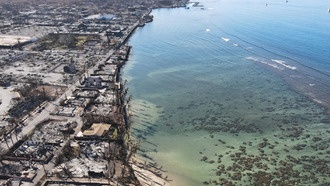 Истинное число жертв лесных пожаров на Мауи оказалось на 67% выше официальных данных