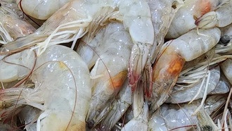 Отходы креветок превратили в эффективный материал для улавливания углекислого газа