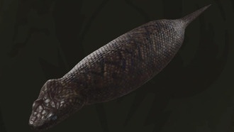 Как поймать Цутиноко в Metal Gear Solid Delta: Snake Eater