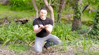 Почвенные микробы могут влиять на гормоны любви и психическое здоровье