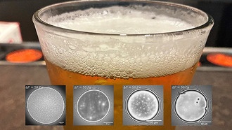 Учёные раскрыли секрет стабильной пивной пены