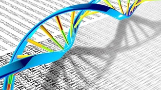 Ученые расшифровали структуру ДНК-аптамера, связывающего АТФ, и улучшили его эффективность