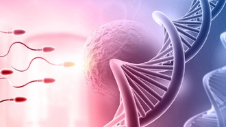 Учёные открыли белок STAG3, связанный с бесплодием и раком