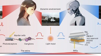 Новая фотодиодная технология имитирует человеческую сетчатку для машинного зрения