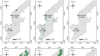 Снежные водоросли ускоряют таяние антарктических шельфовых ледников