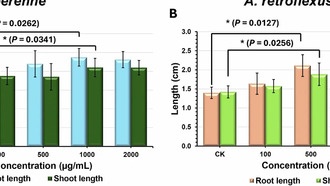 Пустынная бактерия защищает растения от грибков и ускоряет их рост
