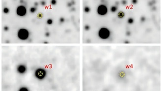 Астрономы изучили пылевую новую звезду в Большом Магеллановом Облаке