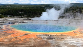 Химики показали, как РНК могла начать создавать белки на ранней Земле