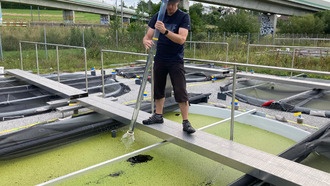 Виды, которые никогда не взаимодействуют, могут влиять на эволюцию друг друга