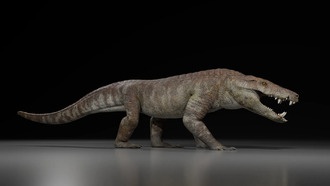 В Патагонии обнаружен новый вид гигантского доисторического крокодила