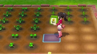 Как получить семена в Story of Seasons: Grand Bazaar