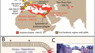 Учёные впервые нашли ДНК чумы в Византийской империи, подтвердив причину Юстиниановой чумы