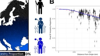 Древняя ДНК показала, что земледелие распространялось через миграцию, а не через обучение