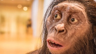 Новые окаменелости в Эфиопии открыли неизвестную ветвь в эволюции человека