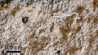 Древняя дамба в Иерусалиме была построена 2800 лет назад для борьбы с изменением климата