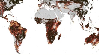 Новая карта Земли показала сложность сезонных циклов и их влияние на биоразнообразие