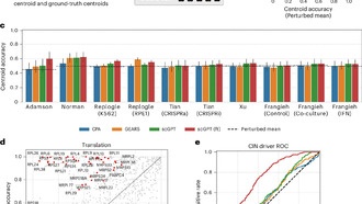 Исследование: простые модели ИИ иногда превосходят сложные в предсказании эффектов генетических изменений