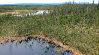 Новый метод точнее предсказывает выбросы метана из арктических болот