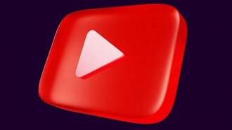 Один из самых длинных стримов в истории YouTube завершился: он длился почти 2 месяца