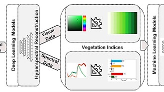 ИИ научился определять засуху по обычным фотографиям растений