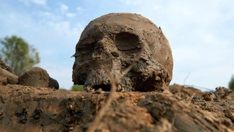 Учёные впервые нашли ДНК чумы в зубах жертв Юстиниановой пандемии