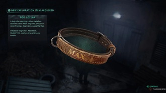 Как освободить собаку в Йове в Hell Is Us