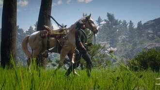 Rockstar Games удалила приложение-компаньон для Red Dead Redemption 2 после 7 лет работы