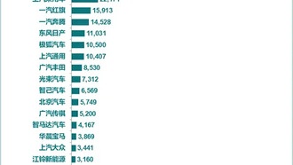 В Китае опубликовали рейтинг продаж электромобилей за август: Geely бьёт рекорды и обходит Tesla