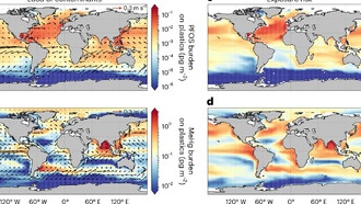 Учёные создали первую глобальную карту экологических рисков от пластика в океане