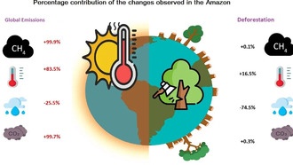 Вырубка лесов в Амазонии сокращает осадки на 74% и повышает температуру на 16% в сухой сезон