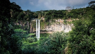 Деревья Амазонки используют недавний дождь в засуху для создания собственных осадков