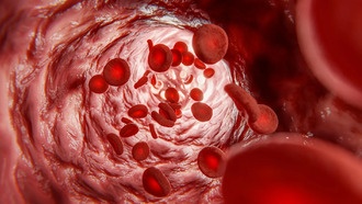 Метформин меняет уровень металлов в крови, что объясняет его пользу для здоровья