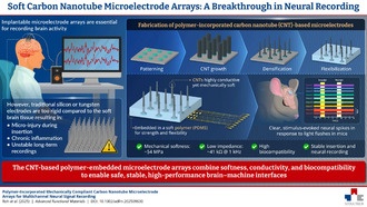 Учёные создали гибридные нанотрубочные электроды для безопасных нейроинтерфейсов