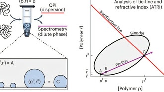 Новый метод ATRI позволяет измерить состав биологических конденсатов без флуоресцентных меток