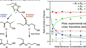 Ученые разработали новый метод создания биоразлагаемых полимеров