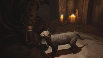 Все кошки и их локации в Cronos: The New Dawn — полное руководство