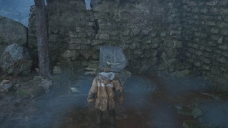 Как попасть в руины Леса Сенедра в Hell is Us: решение головоломки