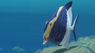 Обнаружена древняя рыба возрастом 310 миллионов лет со «второй челюстью» внутри рта