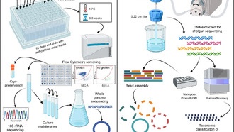 Учёные впервые вырастили в лаборатории сотни пресноводных микробов, которые раньше не поддавались культивированию