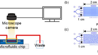 Учёные выяснили, что гидрофильные поверхности удерживают больше нефти, чем гидрофобные