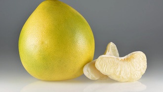 Древний растительный белок SCORE поможет защитить сельскохозяйственные культуры от патогенов