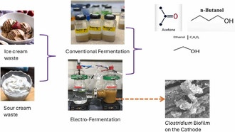 Электростимуляция ускоряет переработку пищевых отходов в ценные химикаты